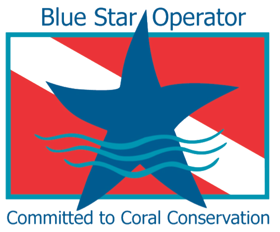 OCF has partnered with Rainbow Reef Dive Center - a certified Blue Star Operator logo image